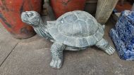 Large Turtle - Fiber cement..