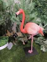 Flamingo Fibreglass - Head Up