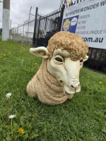 Sheep Head Fiberglass