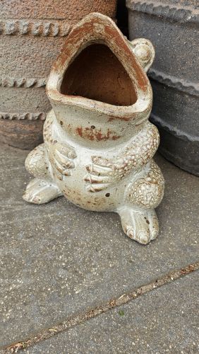 Frog planter pot 
