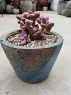 Mini Pot- Size 18 x 13H cm
