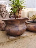  Flared Cosmo Pond/Planter - 4 size